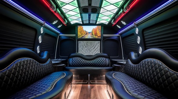 buckeye sprinter limo rental interior