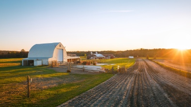 schnepf farms